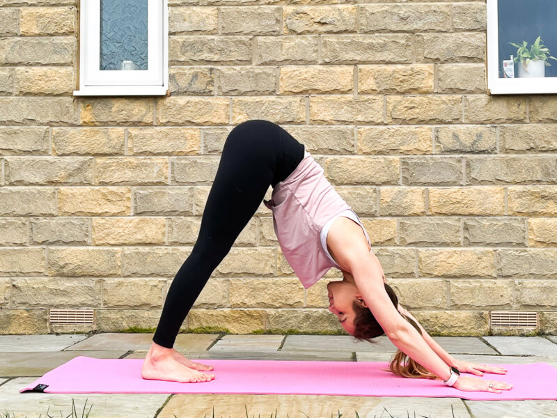 Downward Facing Dog ADHO MUKHA SVANASANA